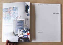 21-DSC_0915-Springer-1